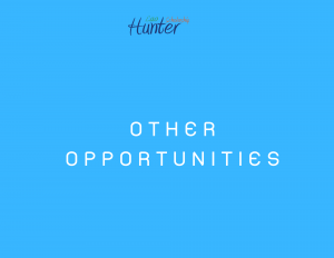 Other opportunities — Lao Scholarship Hunter